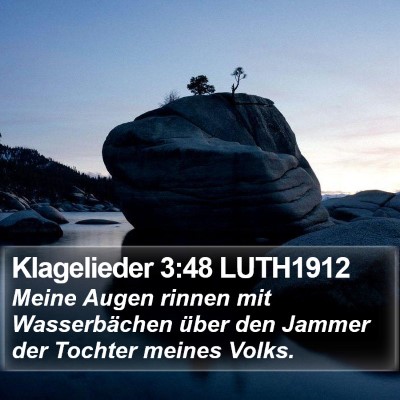 Klagelieder 3:48 LUTH1912 Bible Verse Image