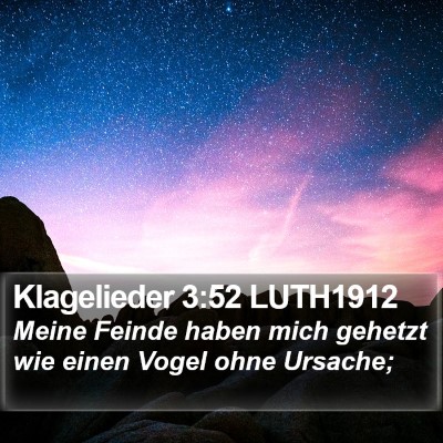 Klagelieder 3:52 LUTH1912 Bible Verse Image