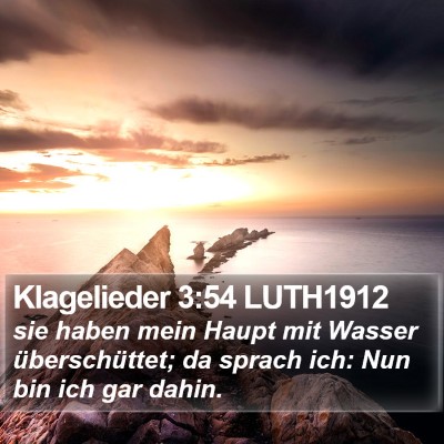 Klagelieder 3:54 LUTH1912 Bible Verse Image