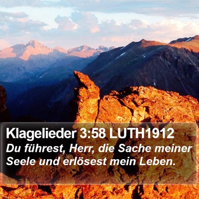 Klagelieder 3:58 LUTH1912 Bible Verse Image