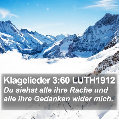 Klagelieder 3:60 LUTH1912 Bible Verse Image