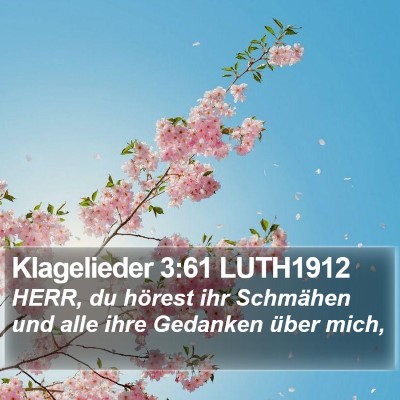 Klagelieder 3:61 LUTH1912 Bible Verse Image