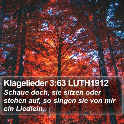 Klagelieder 3:63 LUTH1912 Bible Verse Image