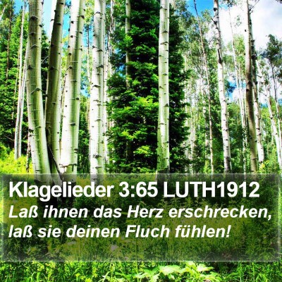 Klagelieder 3:65 LUTH1912 Bible Verse Image