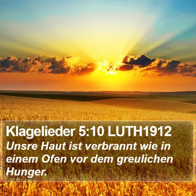 Klagelieder 5:10 LUTH1912 Bible Verse Image