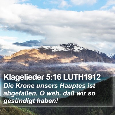 Klagelieder 5:16 LUTH1912 Bible Verse Image