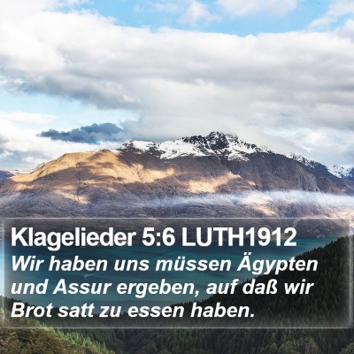 Klagelieder 5:6 LUTH1912 Bible Verse Image