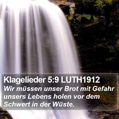 Klagelieder 5:9 LUTH1912 Bible Verse Image