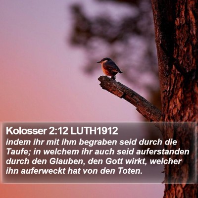 Kolosser 2:12 LUTH1912 Bible Verse Image