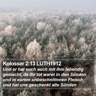 Kolosser 2:13 LUTH1912 Bible Verse Image