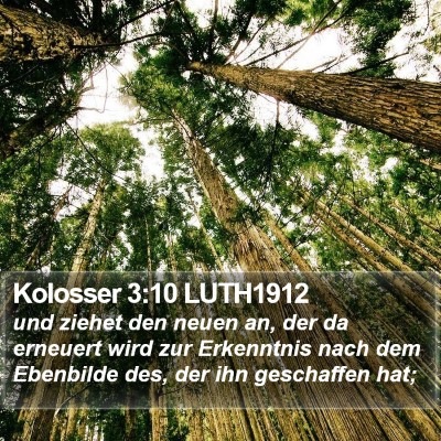 Kolosser 3:10 LUTH1912 Bible Verse Image
