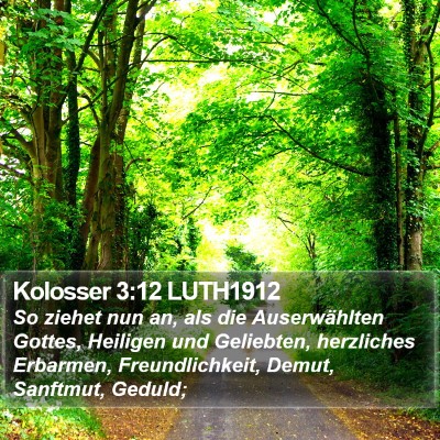 Kolosser 3:12 LUTH1912 Bible Verse Image