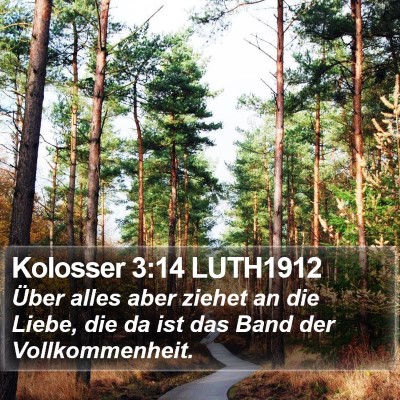 Kolosser 3:14 LUTH1912 Bible Verse Image