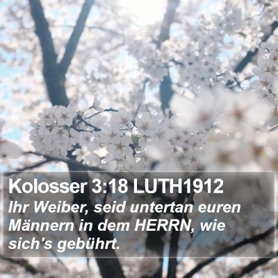 Kolosser 3:18 LUTH1912 Bible Verse Image