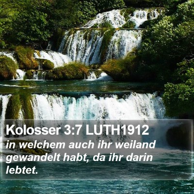 Kolosser 3:7 LUTH1912 Bible Verse Image