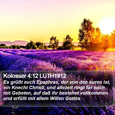 Kolosser 4:12 LUTH1912 Bible Verse Image