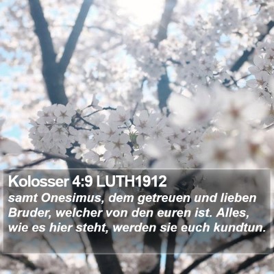 Kolosser 4:9 LUTH1912 Bible Verse Image