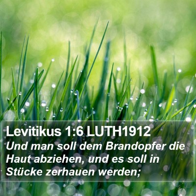 Levitikus 1:6 LUTH1912 Bible Verse Image