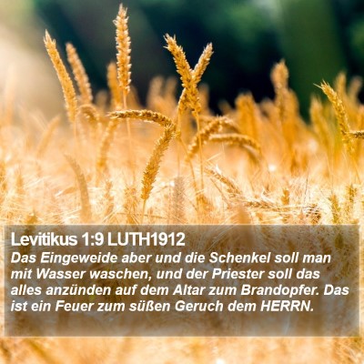 Levitikus 1:9 LUTH1912 Bible Verse Image