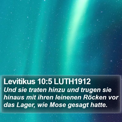 Levitikus 10:5 LUTH1912 Bible Verse Image