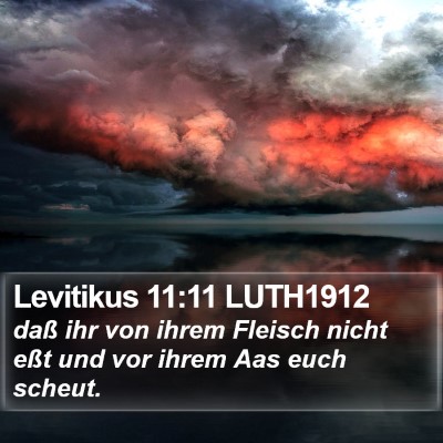 Levitikus 11:11 LUTH1912 Bible Verse Image