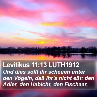 Levitikus 11:13 LUTH1912 Bible Verse Image