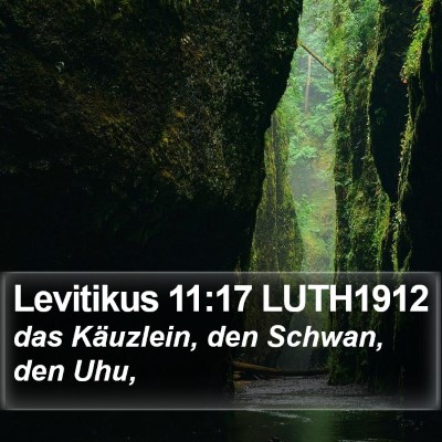 Levitikus 11:17 LUTH1912 Bible Verse Image