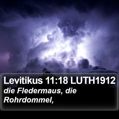 Levitikus 11:18 LUTH1912 Bible Verse Image