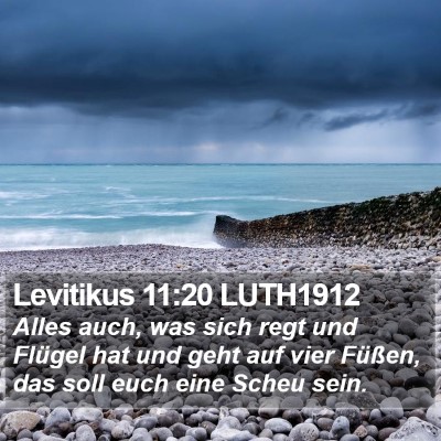 Levitikus 11:20 LUTH1912 Bible Verse Image
