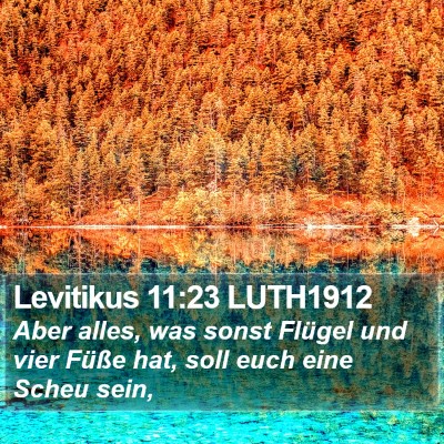 Levitikus 11:23 LUTH1912 Bible Verse Image