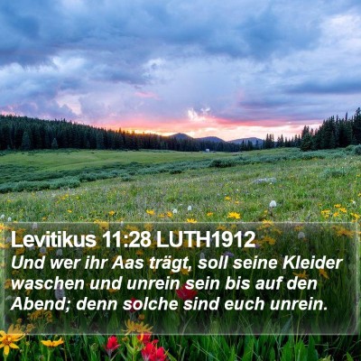 Levitikus 11:28 LUTH1912 Bible Verse Image