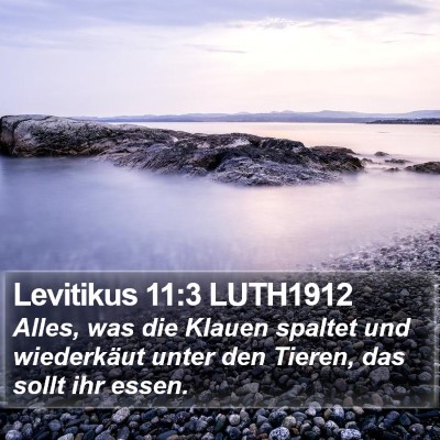 Levitikus 11:3 LUTH1912 Bible Verse Image