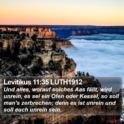 Levitikus 11:35 LUTH1912 Bible Verse Image