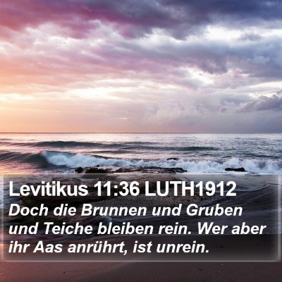 Levitikus 11:36 LUTH1912 Bible Verse Image