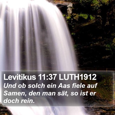 Levitikus 11:37 LUTH1912 Bible Verse Image
