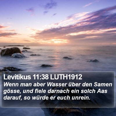 Levitikus 11:38 LUTH1912 Bible Verse Image