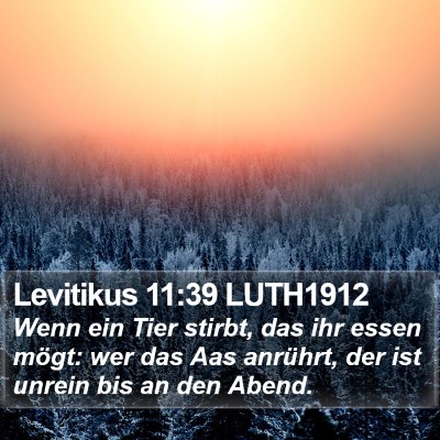 Levitikus 11:39 LUTH1912 Bible Verse Image