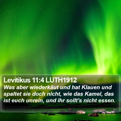 Levitikus 11:4 LUTH1912 Bible Verse Image