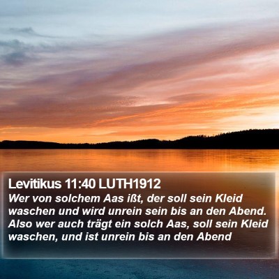 Levitikus 11:40 LUTH1912 Bible Verse Image