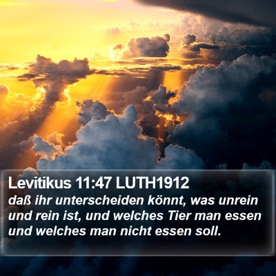 Levitikus 11:47 LUTH1912 Bible Verse Image