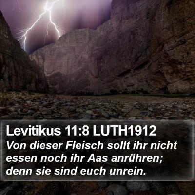 Levitikus 11:8 LUTH1912 Bible Verse Image