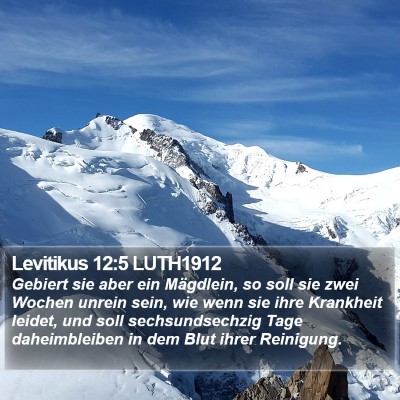 Levitikus 12:5 LUTH1912 Bible Verse Image