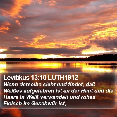 Levitikus 13:10 LUTH1912 Bible Verse Image