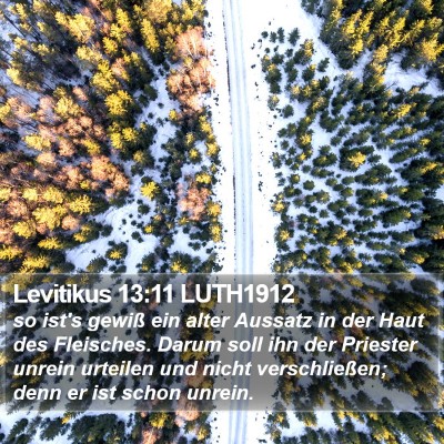 Levitikus 13:11 LUTH1912 Bible Verse Image