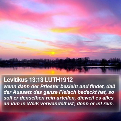 Levitikus 13:13 LUTH1912 Bible Verse Image
