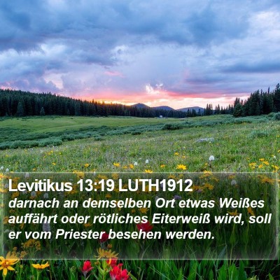 Levitikus 13:19 LUTH1912 Bible Verse Image