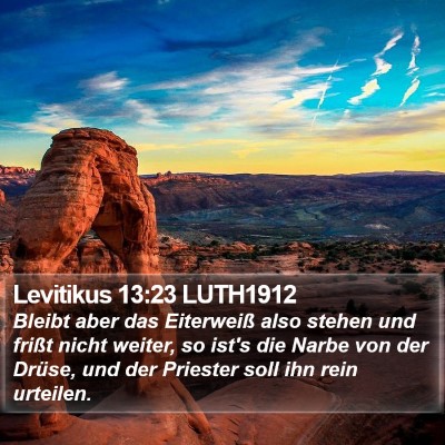 Levitikus 13:23 LUTH1912 Bible Verse Image
