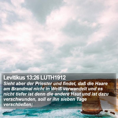 Levitikus 13:26 LUTH1912 Bible Verse Image