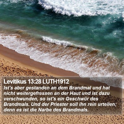 Levitikus 13:28 LUTH1912 Bible Verse Image