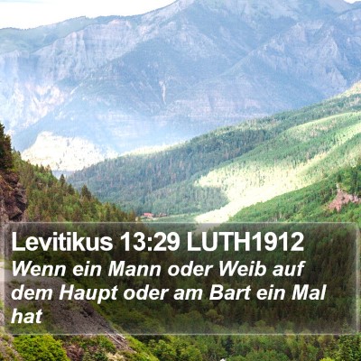 Levitikus 13:29 LUTH1912 Bible Verse Image